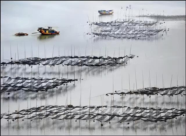 这是油画还是实景？太美太美啦！！