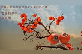 宕昌入冬“四件套”，你安排了吗？图片