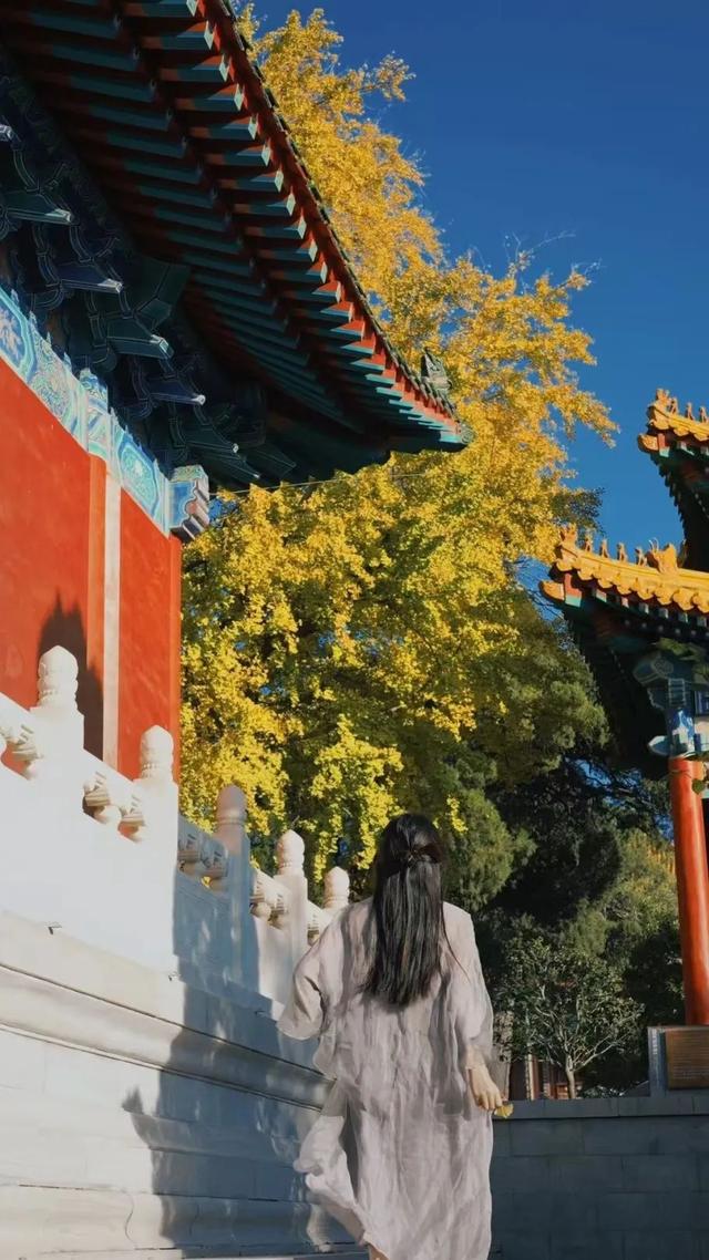 逃离“浪浪山”，解锁沂山新玩法！