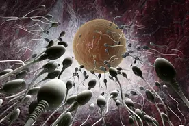 为什么男人过了25岁，身体明显感觉衰老了许多？图片