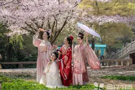 清明假期，45.71万人逛进苏州园林图片