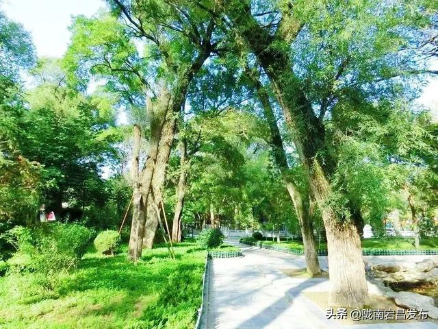 【寻迹甘肃 向往之旅】问道崆峒 康养平凉
