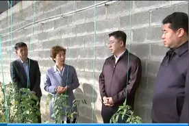 太原市委副书记、政法委书记武晓花率队观摩喜跃发智慧农业园区图片