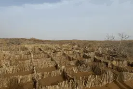 沙海变棋盘！看宁蒙边界如何用"刷状网草方格"等新技术下活治沙大棋图片