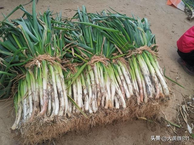 认识大美河南的每个县——第23波：新乡县