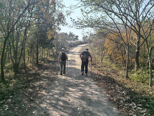 南京龙尚湖，大连山，佘村一日郊野徒步