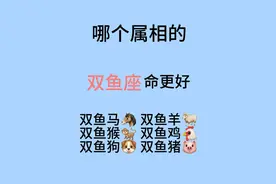 哪个属象的双鱼座命更好图片