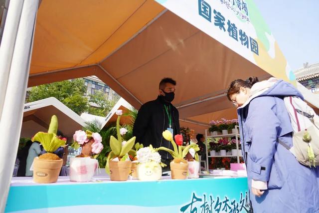 古树年轮里的故事，石景山等您来赴约