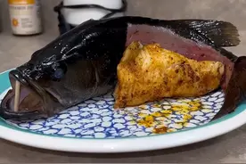 网红吃寄生虫煎鱼、蜥蜴炒饭后，上吐下泻差点送走自己图片