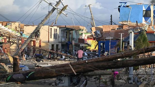 迄今世界第一大蛛网：106平米	，11万只蜘蛛的家