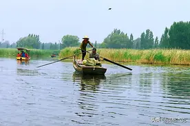 河北最大的湖泊，比50个杭州西湖还大，是日进斗金的“鱼米之乡”图片