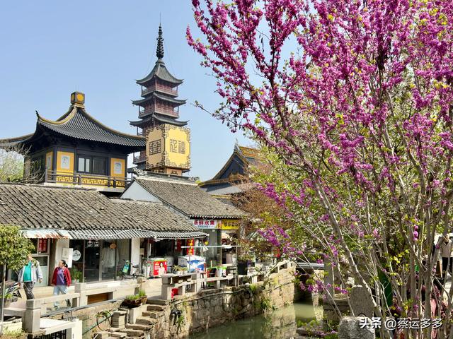 清明访千灯，顾园寄幽思