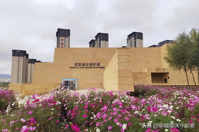 西宁市：走进沈那遗址公园