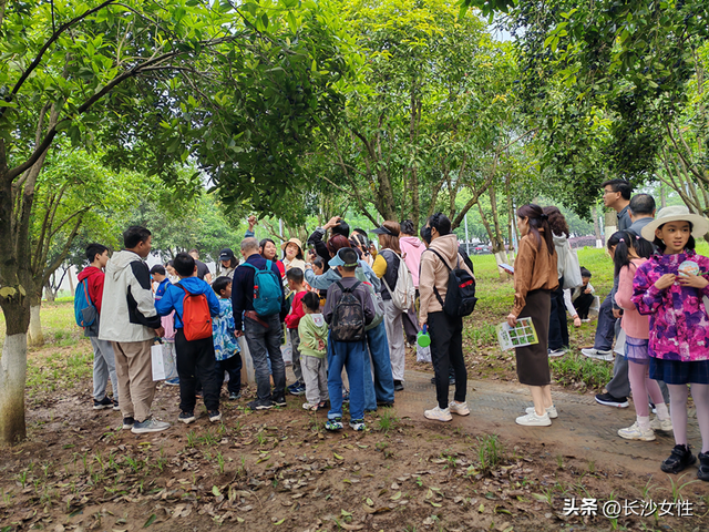 赴春日之约！长沙这场“环境友好 儿童友好”亲子踏青日活动太治愈啦