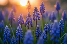 8首与“月”有关的词，把诗词酿成月光，将思念写在心上图片