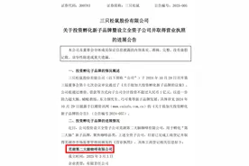 三只松鼠开售咖啡！公司名：第二大脑图片