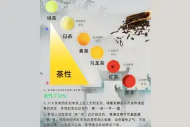 爱喝茶的人，一定要收藏这张表！你是什么体质，适合喝哪类茶？图片
