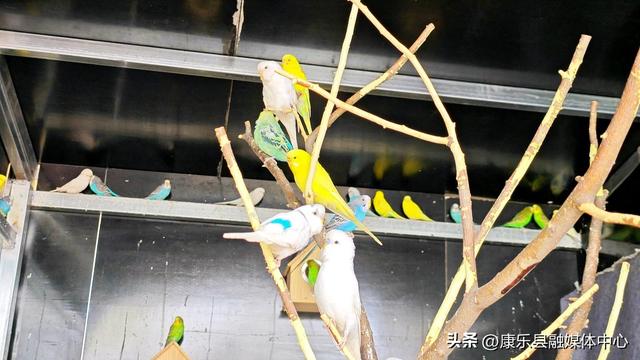 康乐县胭脂湖景区： 解锁踏青游玩新体验