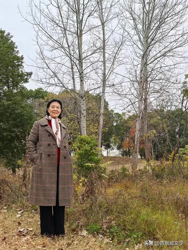 盘龙悠远银杏黄 水中学友情谊长