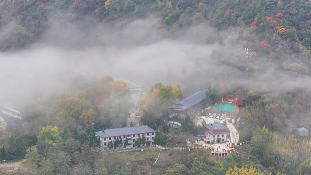 不到西坡，怎知秋色如许？