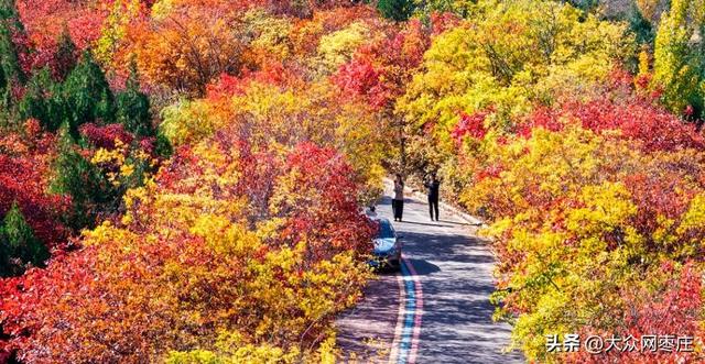 四季流转 多彩枣庄 | 枣庄：凤凰绿道色彩斑斓风景如画