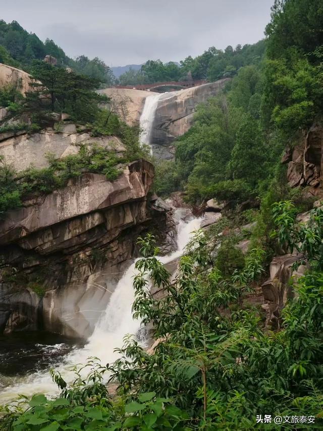泰山雨后云雾织仙境！泼墨山水里藏着夏日最治愈的奔赴