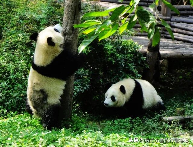 五一反向旅游首选！这7座冷门小城，我不允许还有人不知道！