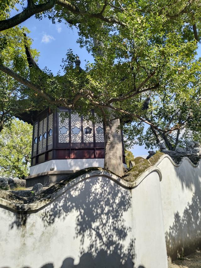 踏入苏州拙政园才懂得什么叫“一园藏尽江南梦”