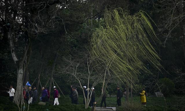 春风沉醉的瘦西湖（三）