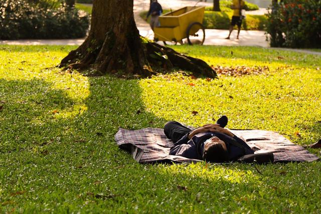 清明连休6天：你是出门看人头，还是在家躺平？理由很扎心。