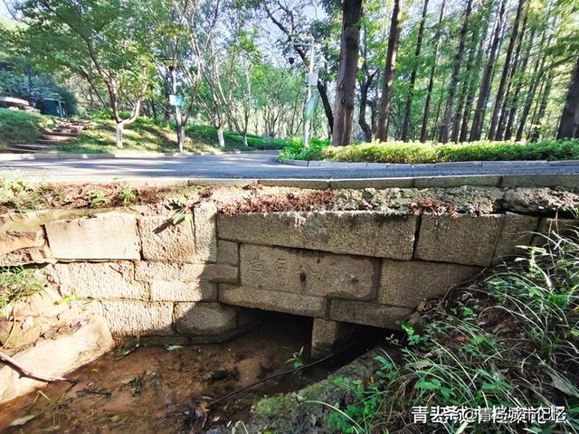 中山公园里的新发现，106年历史的老石桥！