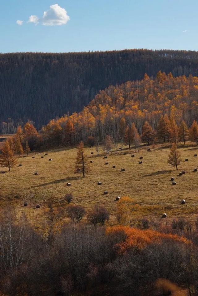2025国庆中秋假期阿尔山旅游迎转型！