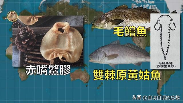 二十年的老鱼胶 2026年30年老鱼胶