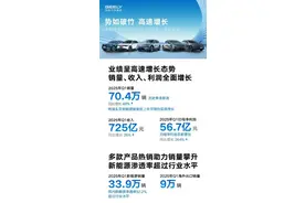 实现全面增长 吉利汽车发布2025年第一季度财报图片