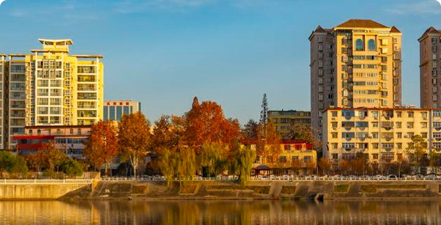 大量浙江人涌入河南信阳，打着旅游的幌子	，不喝毛尖不进茶山，