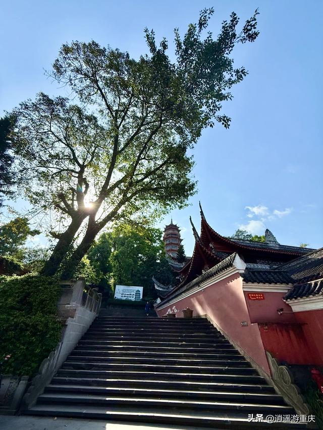 华岩寺清明打卡：新绿、锦鲤和古装妹子，随手一拍都出片