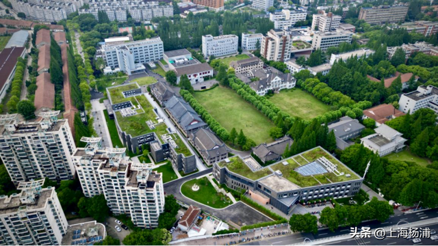 快来杨浦打卡！这条游玩线路有料又出片→