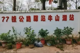 骑行江夏77号公路，解锁梁子湖风光，一路向南图片