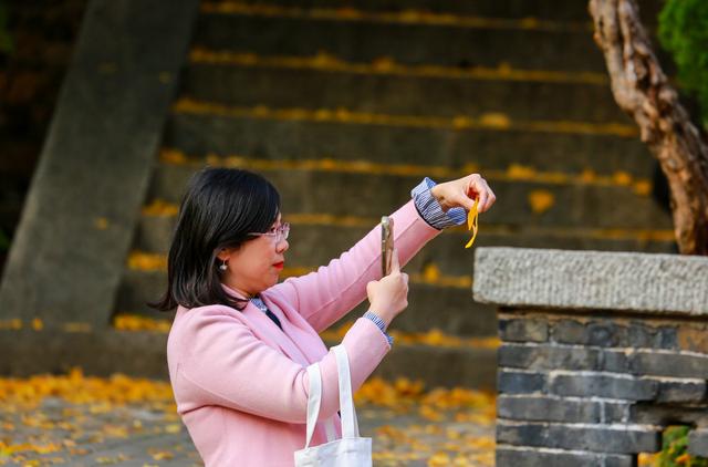 泰山普照寺，那最后的一树金黄