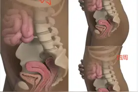 怀孕1-10个月怀孕肚形的变化。图片