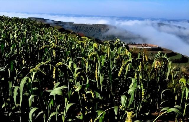 《李銮宣传记》38 桑梓情深留遗存