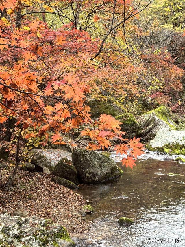 2025辽宁赏秋之旅日记(3)——游览洋湖沟和老边沟