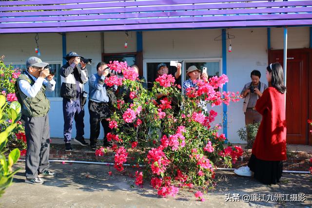 九洲湾：廉江“小桂林”