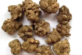 猫爪草4个黄金搭配，冲跑全身的结节，简单方便又省钱！图片