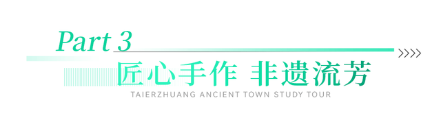 踏春游古城，研学好时光！一起来台儿庄古城探索文化盛宴！