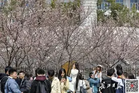 武大学生与游客互殴？高校要开放但不能“放任”|荔枝时评图片