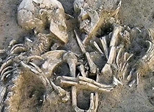 伊朗一对情侣，躲进谷仓中拥吻，被人发现时，已经吻了2800年