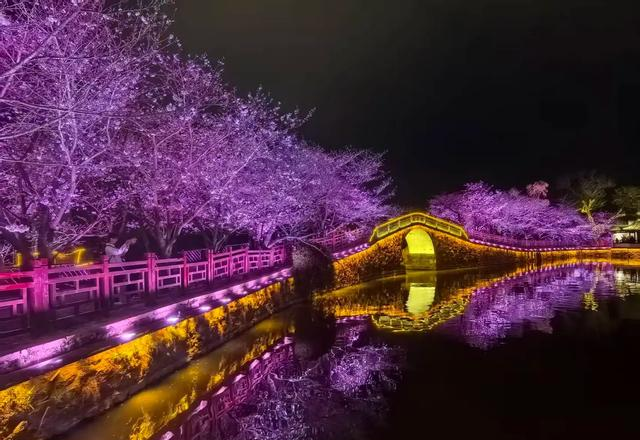 挤疯了！无锡鼋头渚夜樱 “炸街”，这场面给老外看都能吓一跳