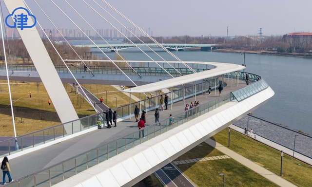 【津云镜头】海河之畔，一双翅膀托起津城整个春天
