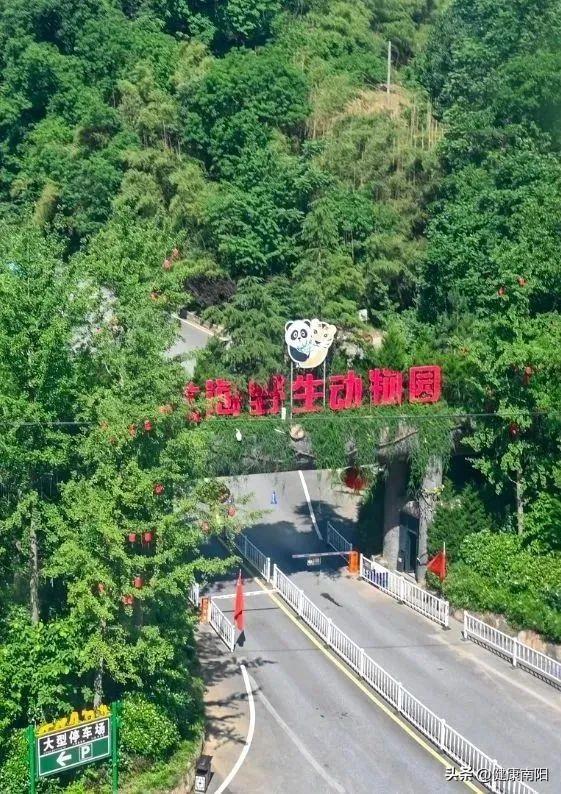 免免免！河南这些景区推出限时特惠活动→